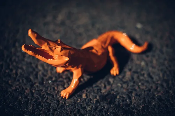 Facetted Crocodile